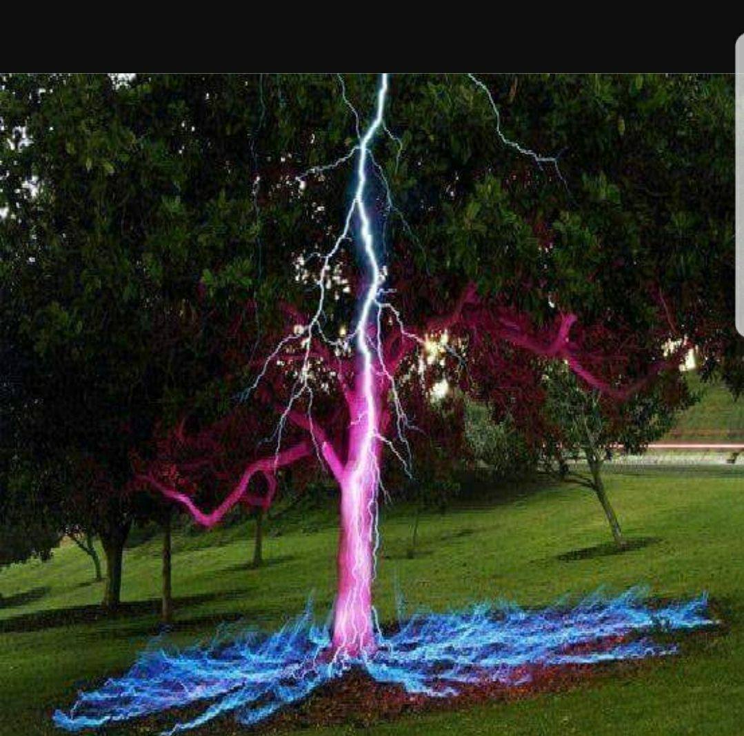 Backyard Barber Landscaping — power and precision in every project