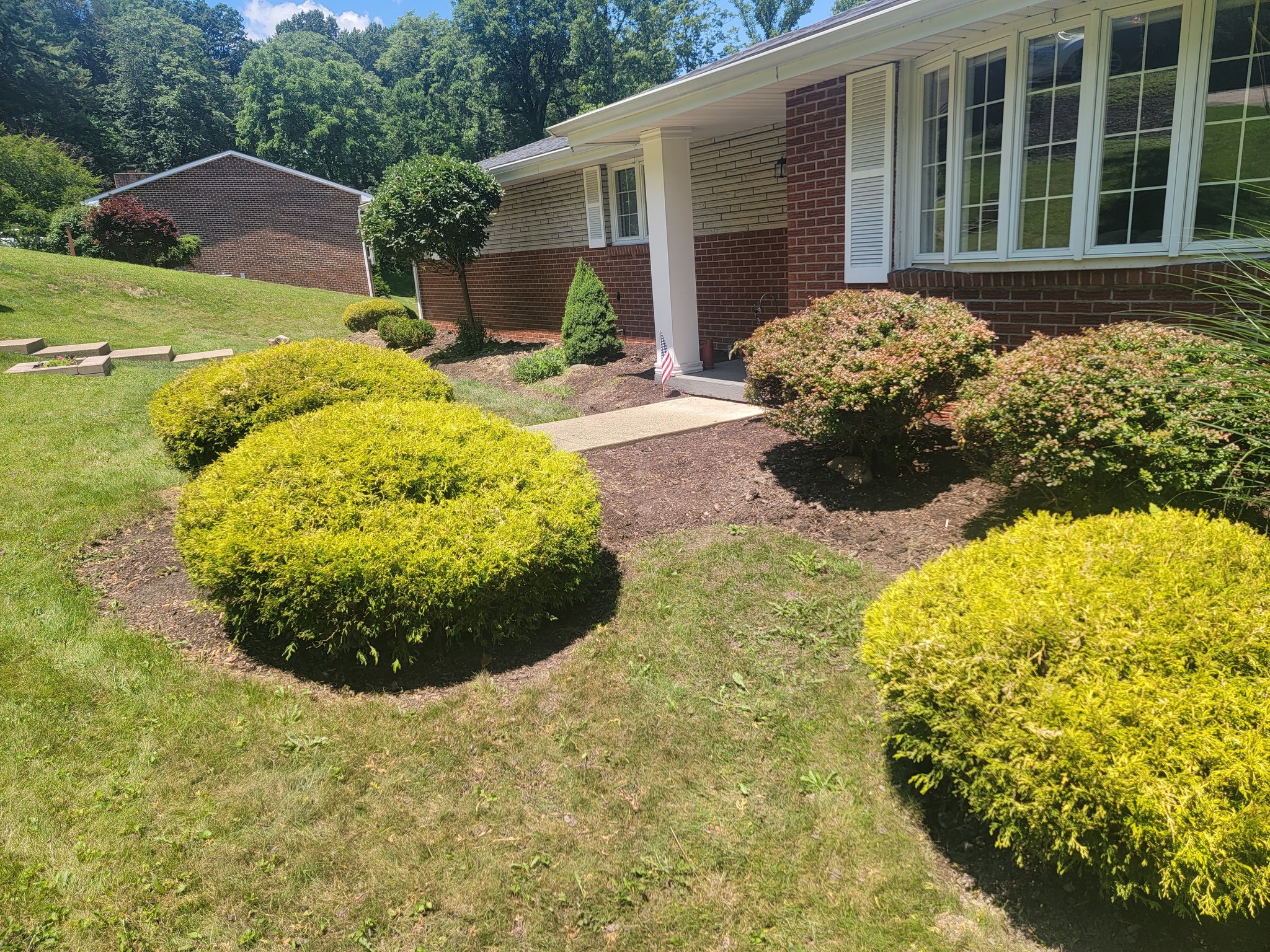 Rounded boxwood shrub trimming at brick home